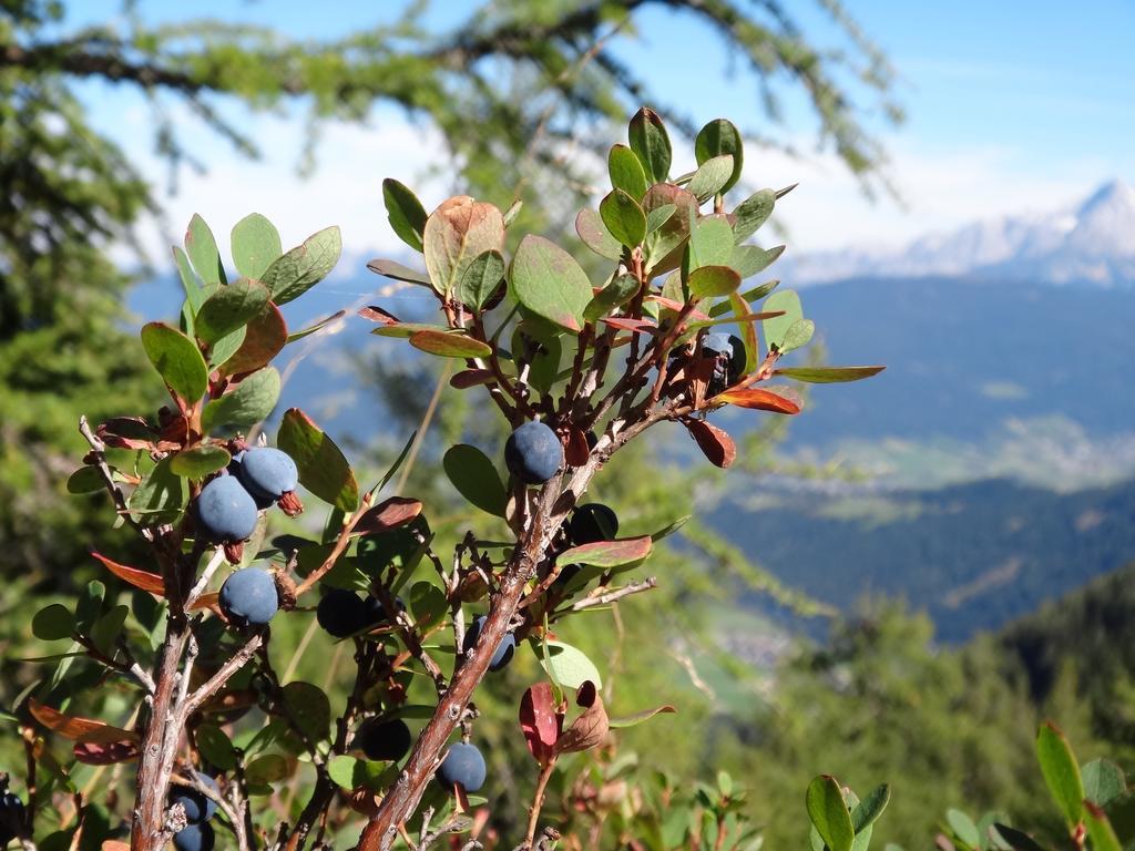 Ausserraingut Flachau Exteriér fotografie
