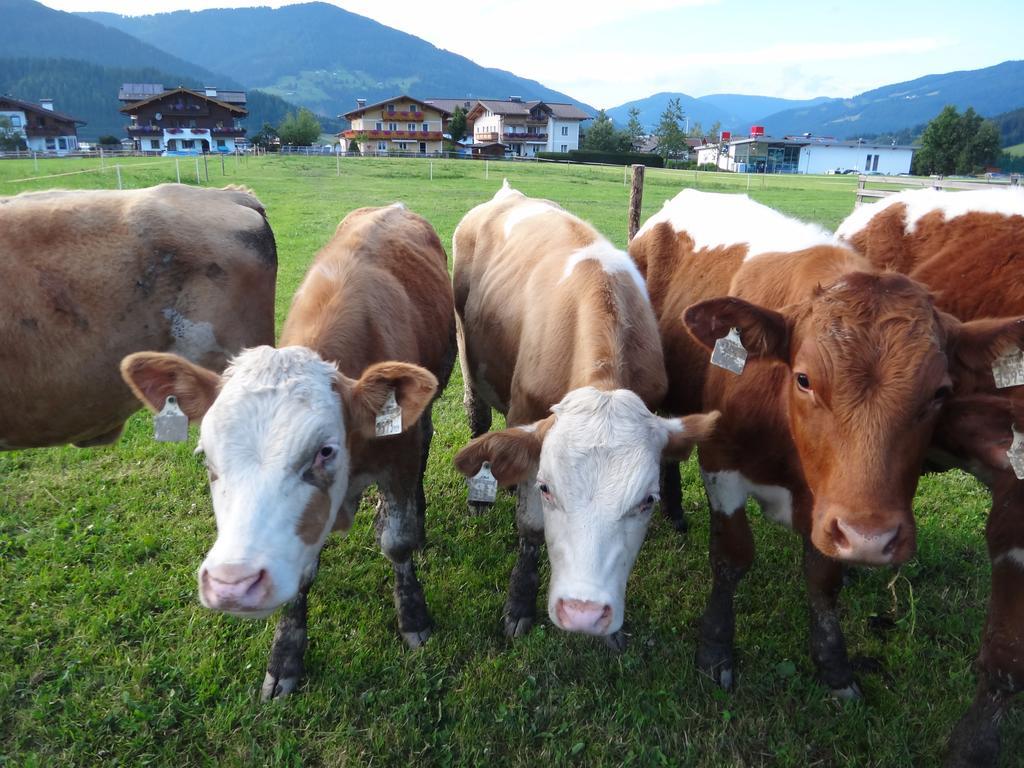 Ausserraingut Flachau Exteriér fotografie